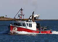 fishing boat returning to dock